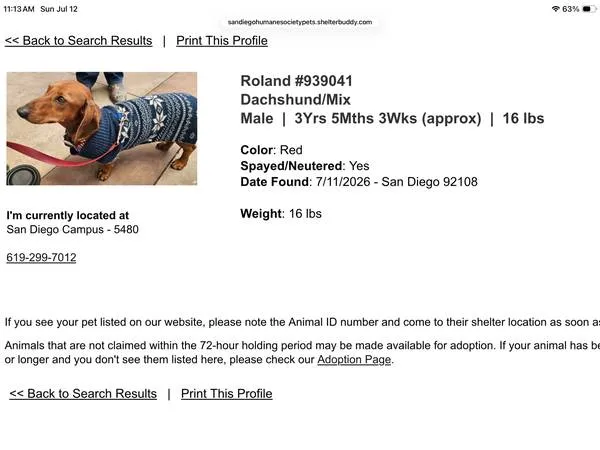 Found dog