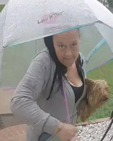 Lost dog