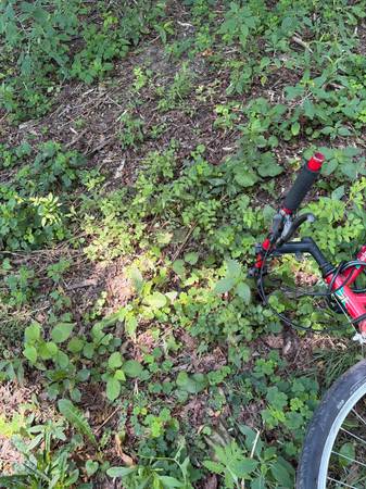 Found bike