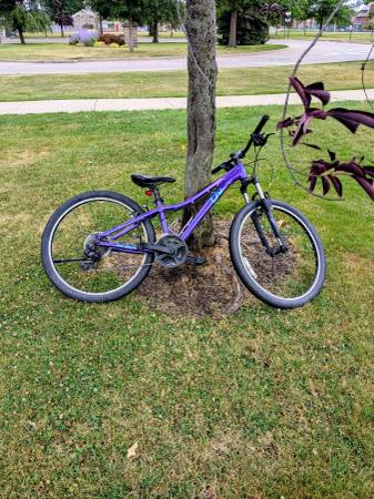 Found bike