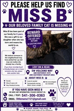 Lost cat