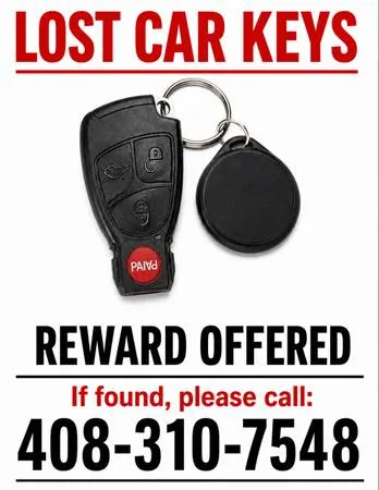 Lost keys