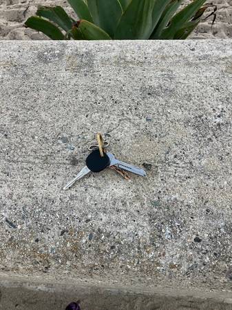 Found keys