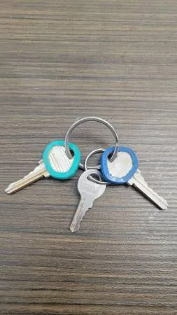 Found keys