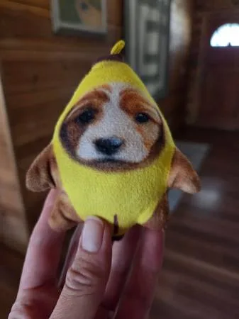 Found toy