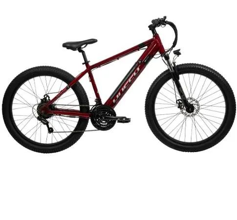 Lost bike
