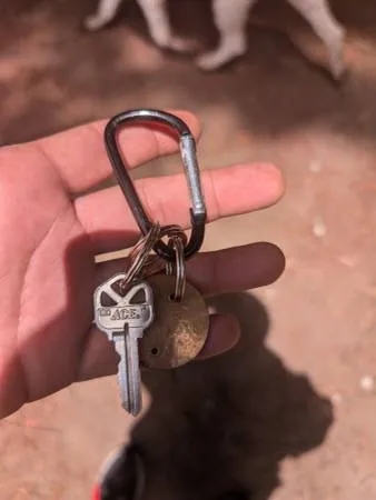 Found keys