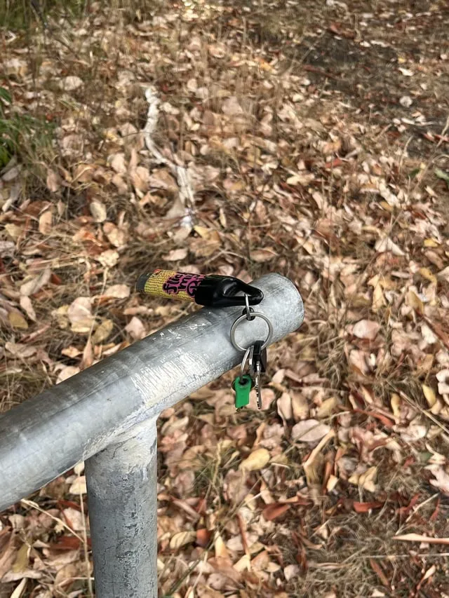 Found keys