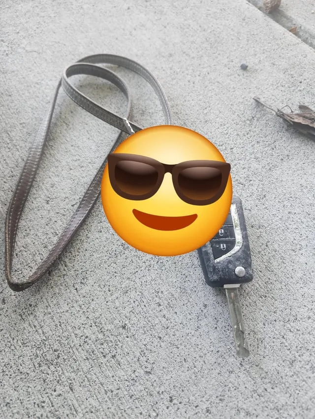 Found keys
