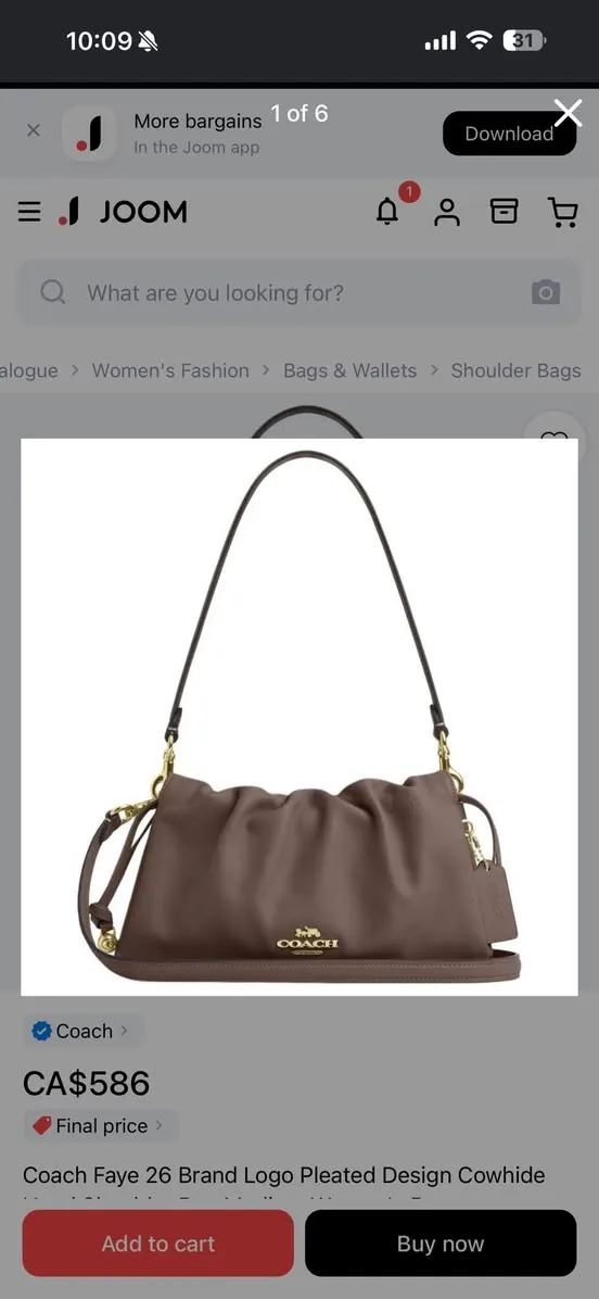 Lost bag