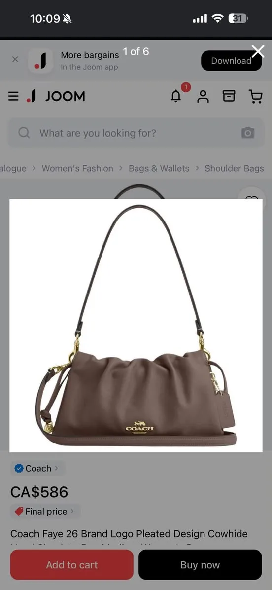 Lost bag