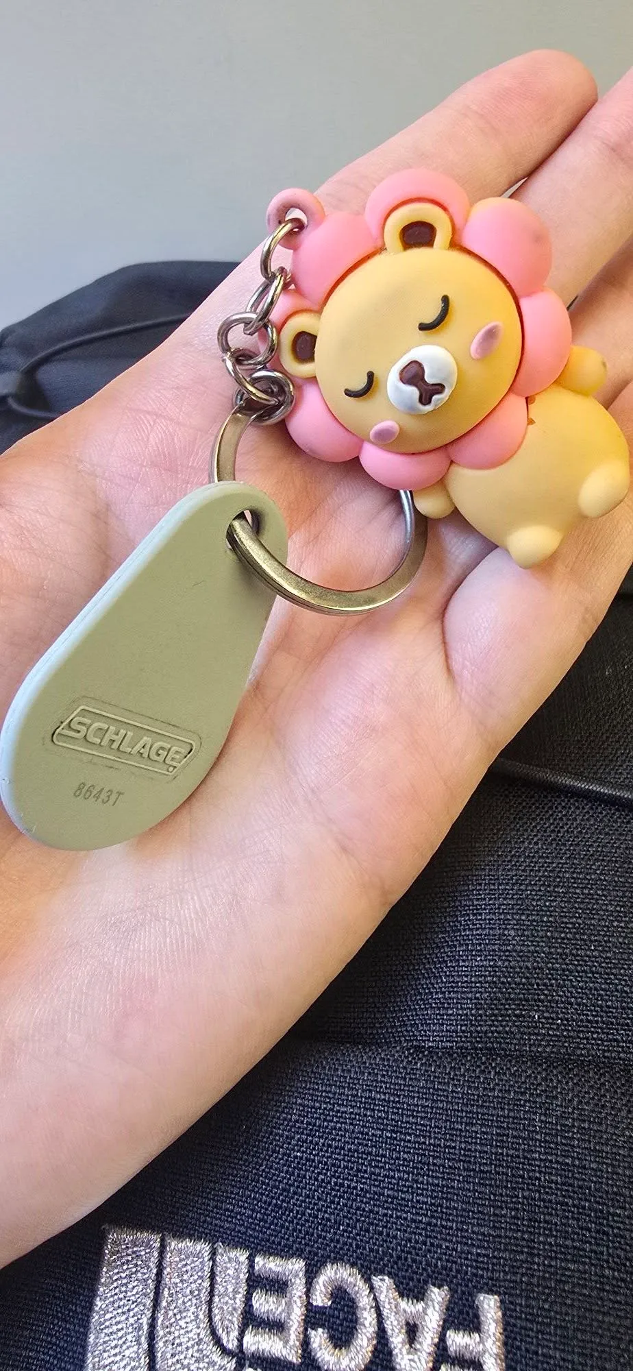 Found keys