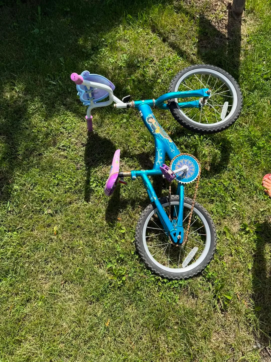 Found bike