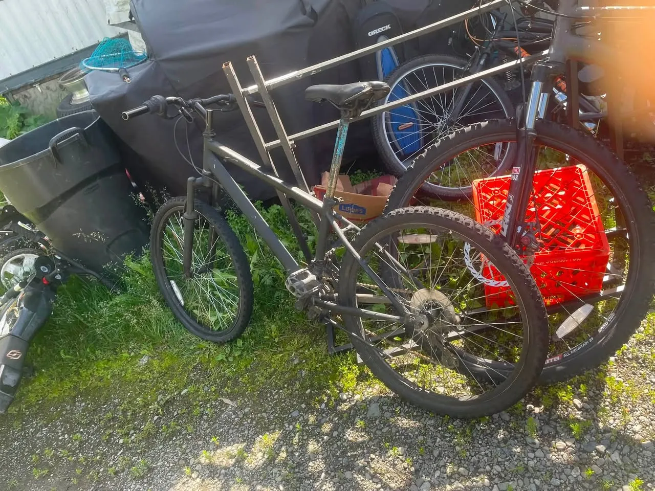 Found bike