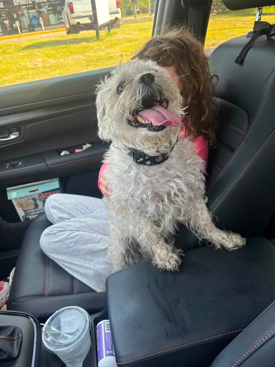 Found dog