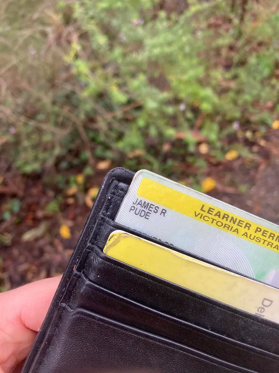 Found wallet